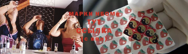 гидра Пестово