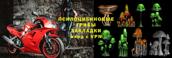 метадон Осташков