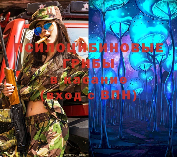 мдпв Пересвет