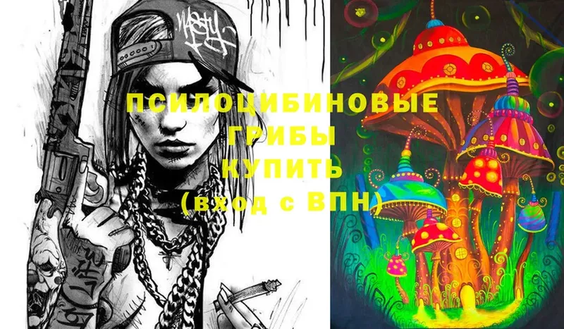 площадка какой сайт  Чкаловск  Псилоцибиновые грибы Psilocybine cubensis  где купить наркоту 